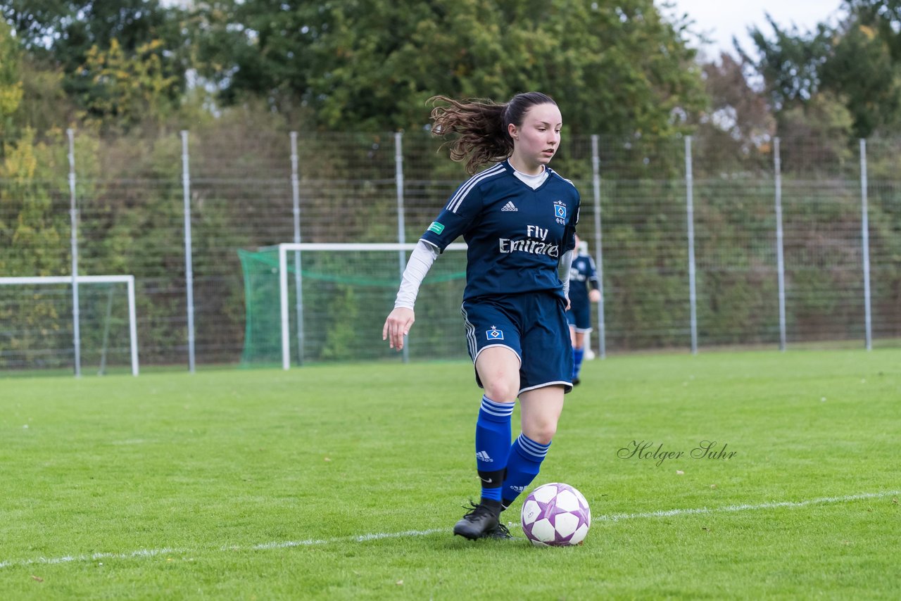 Bild 231 - B-Juniorinnen SV Henstedt Ulzburg - Hamburger SV : Ergebnis: 2:3